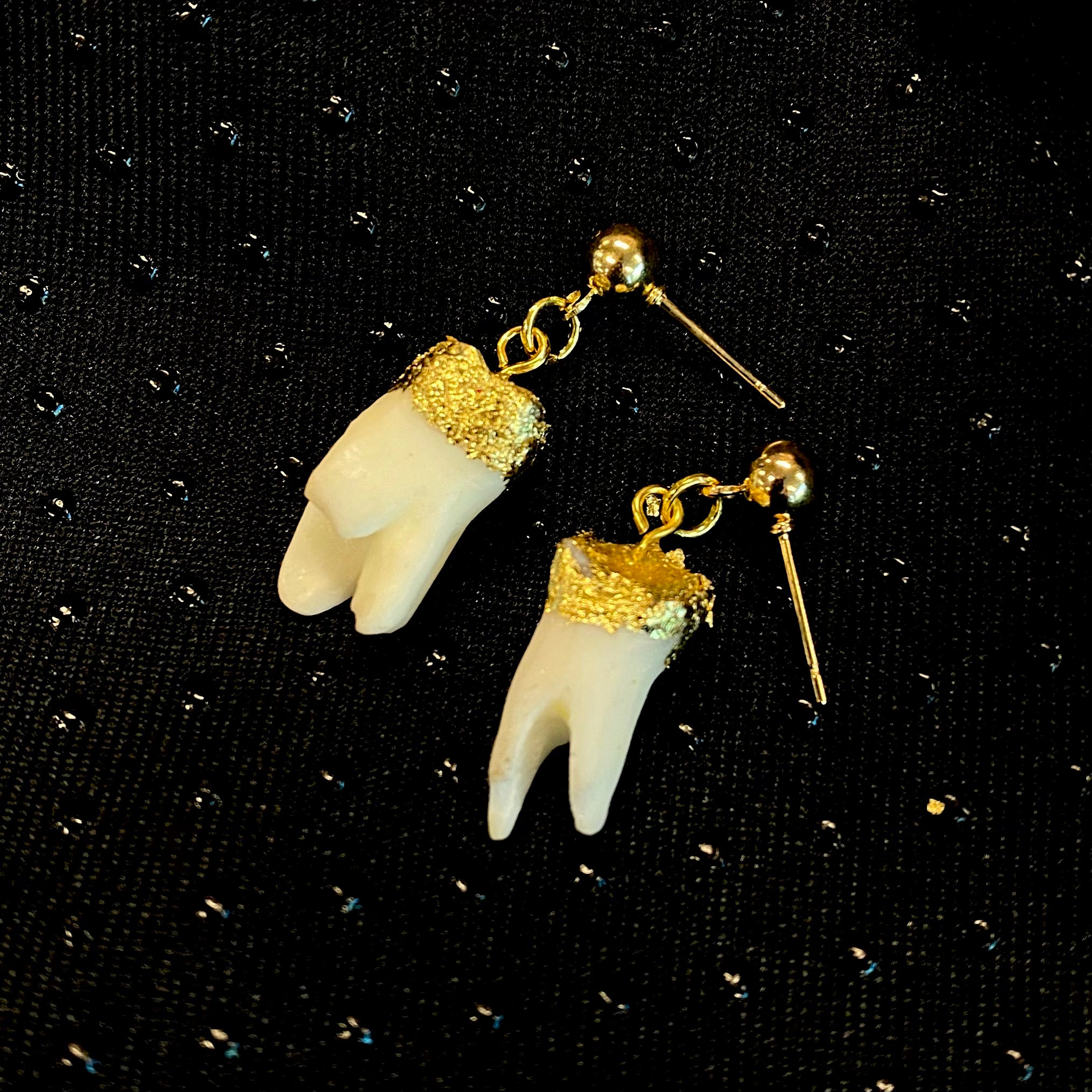 Tooth Studs